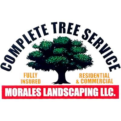 morales-tree-service-bg-01